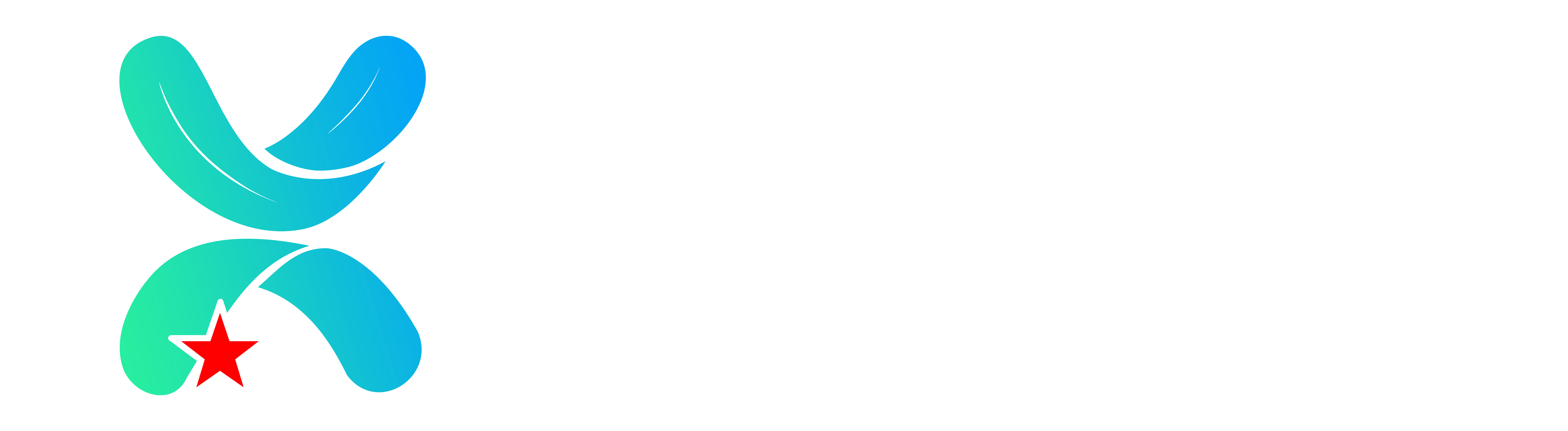 杭州兴元科技有限公司Logo